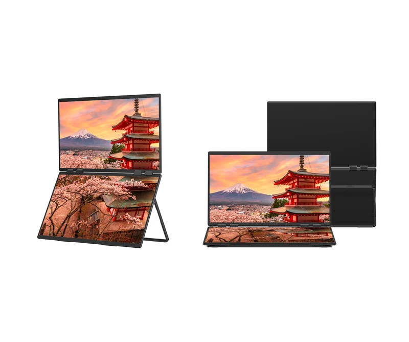 Double Écran Mobile | 2 x 23,8" | IPS | Full HD