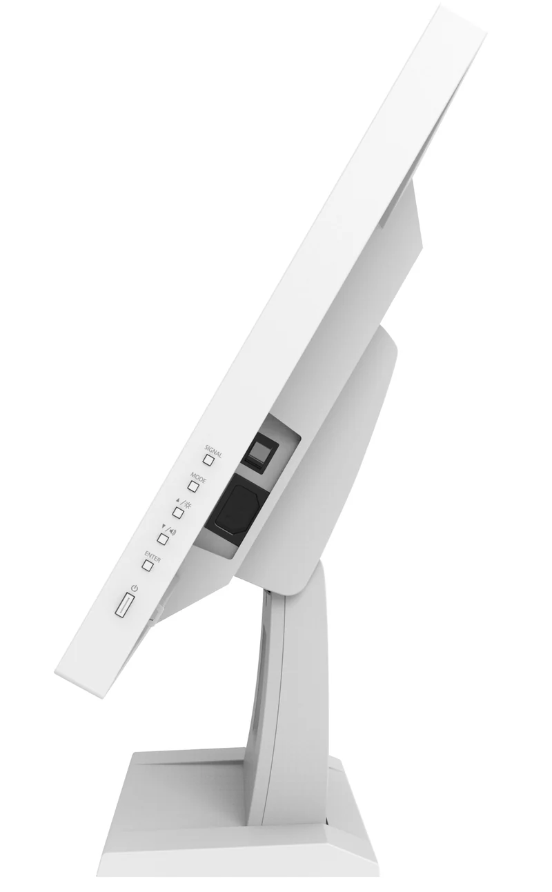 DuraVision 19p LCD FDS1921T