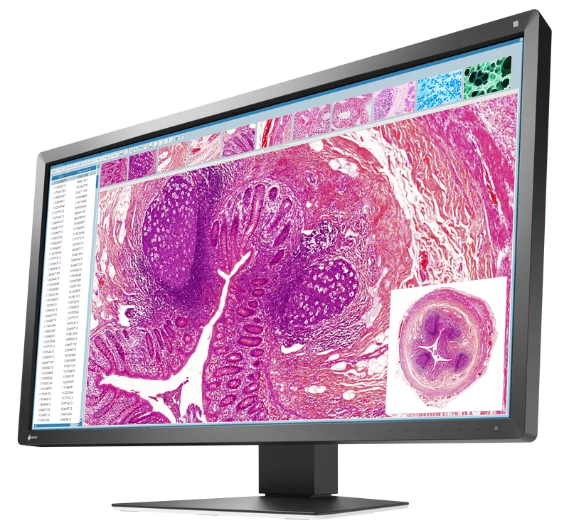 RadiForce 31p MX317W