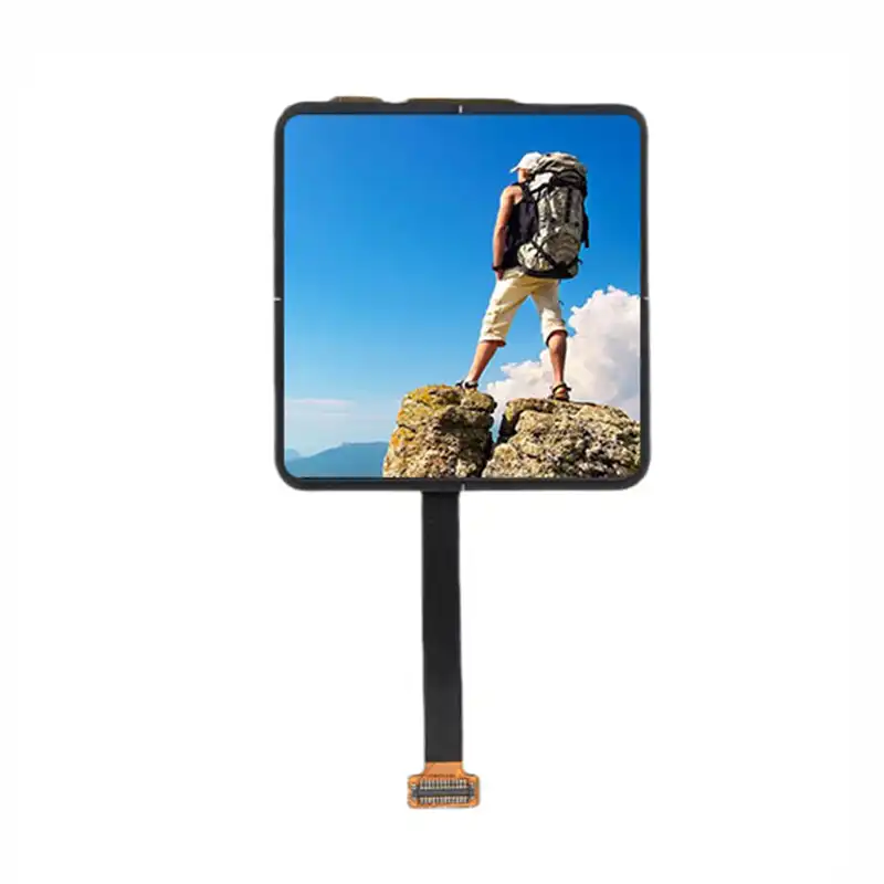 Module d'affichage AMOLED de 2.01 pouces – Écran carré haute résolution