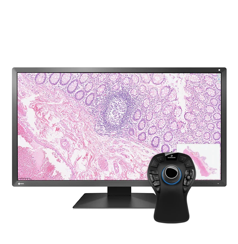 Pack EIZO PX3150 + SpaceMouse Pro