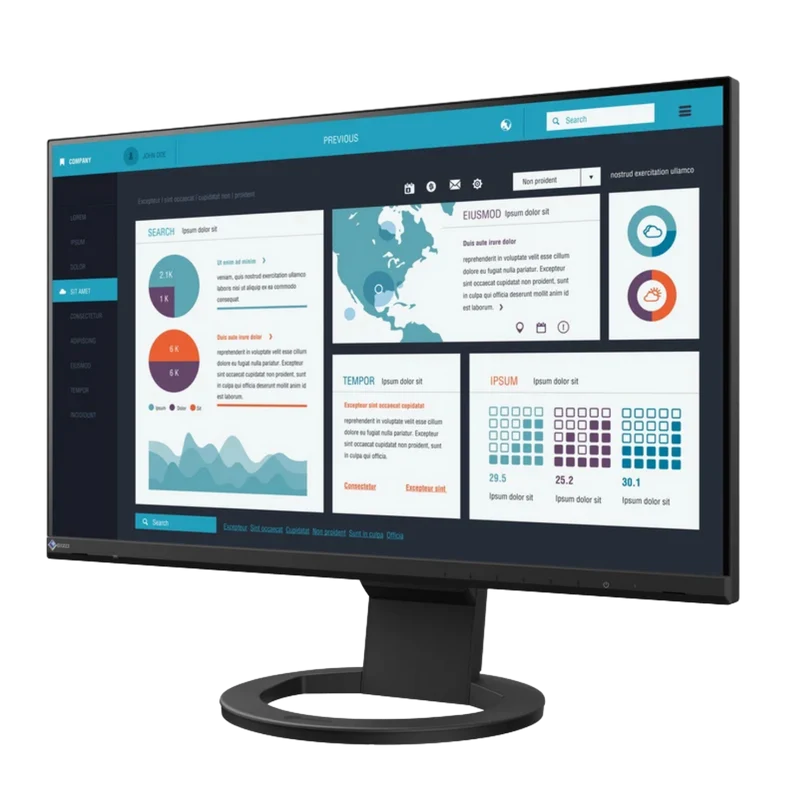 FlexScan EV2490