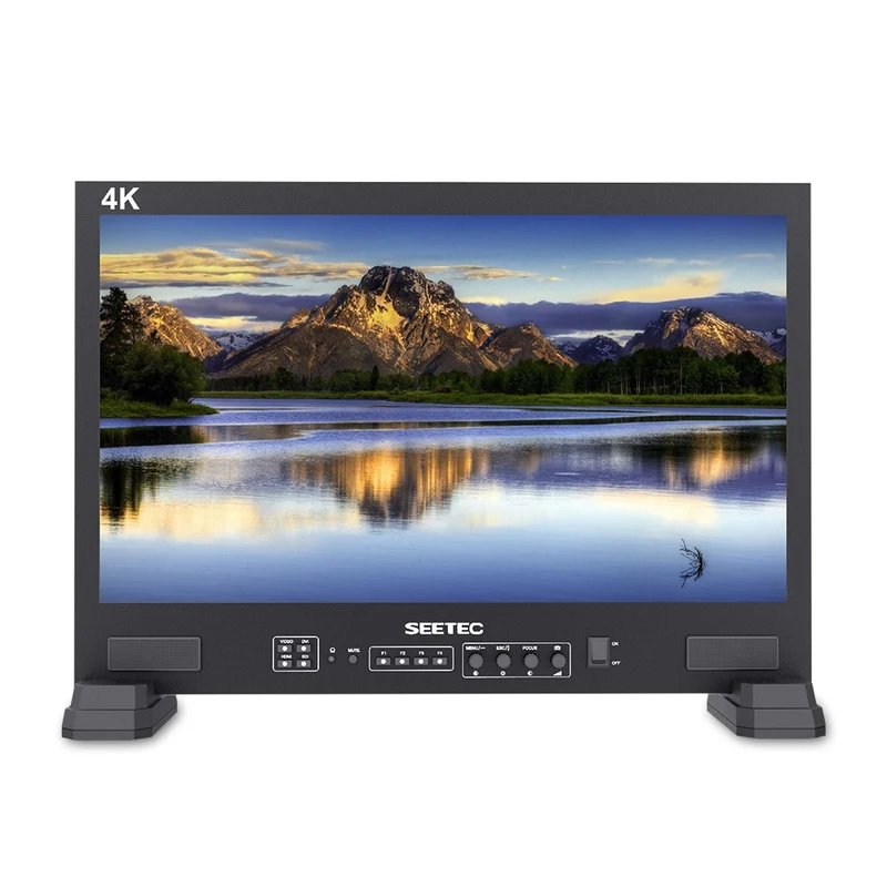 SEETEC FS215-S4K 17.3 pouces 1920x1080 directeur de diffusion moniteur UMD texte Tally affichage SDI HDMI