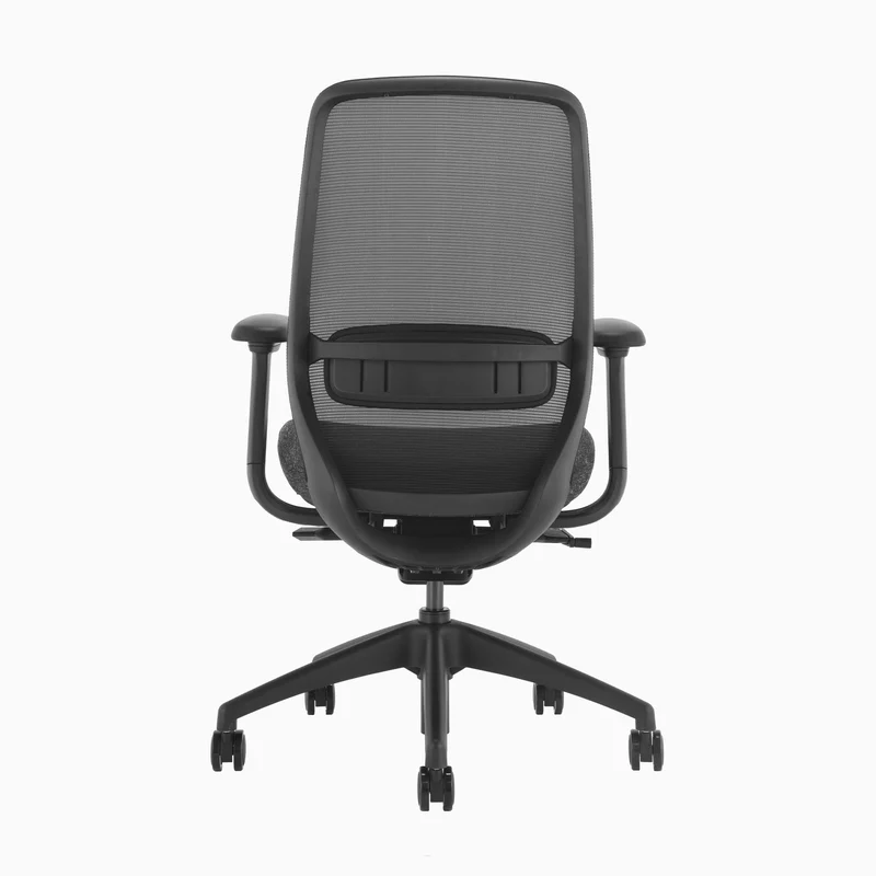 Desky CoilFlex Ergonomic Office Chair