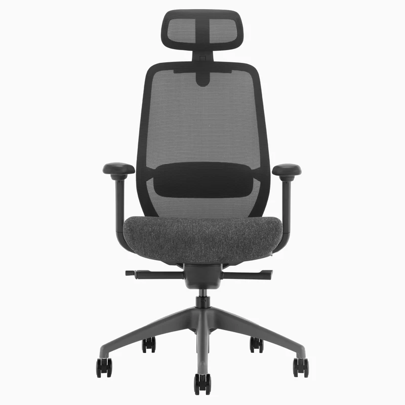 Desky CoilFlex Ergonomic Office Chair
