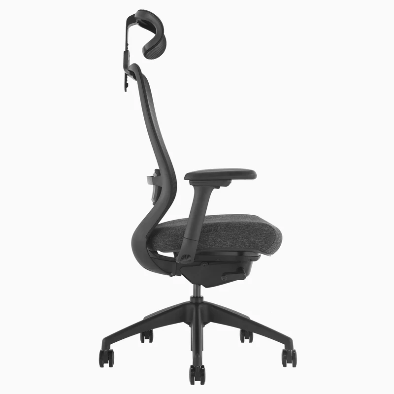 Desky CoilFlex Ergonomic Office Chair