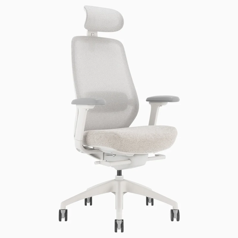 Desky CoilFlex Ergonomic Office Chair