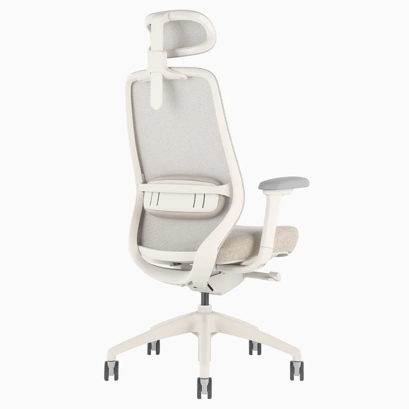 Desky CoilFlex Ergonomic Office Chair