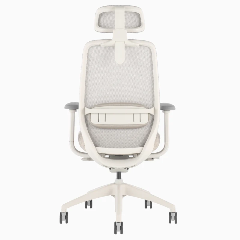 Desky CoilFlex Ergonomic Office Chair