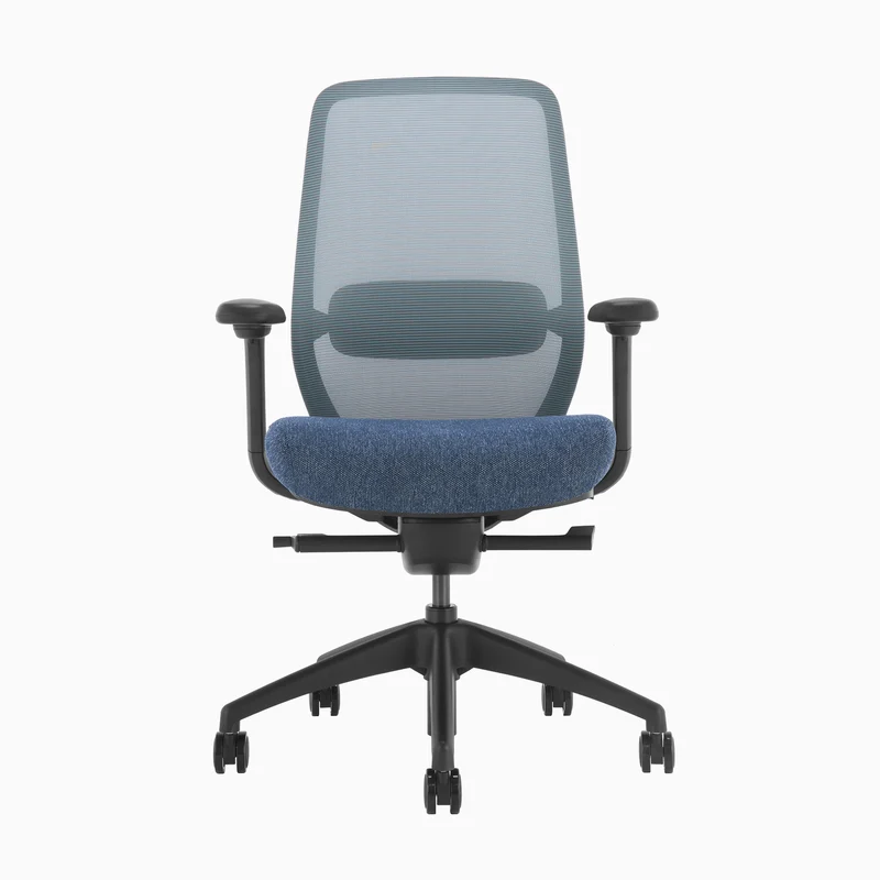 Desky CoilFlex Ergonomic Office Chair