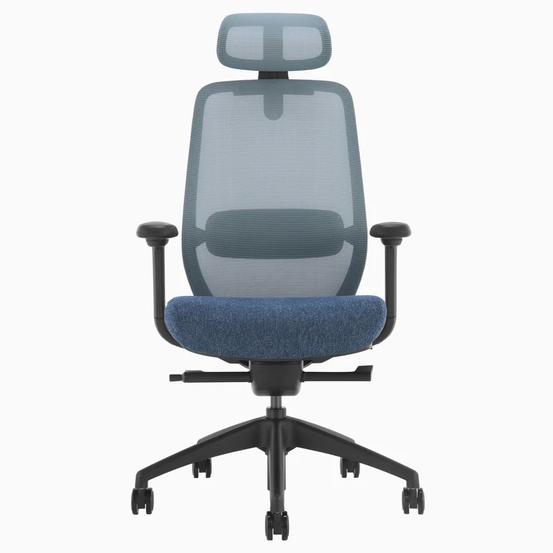 Desky CoilFlex Ergonomic Office Chair