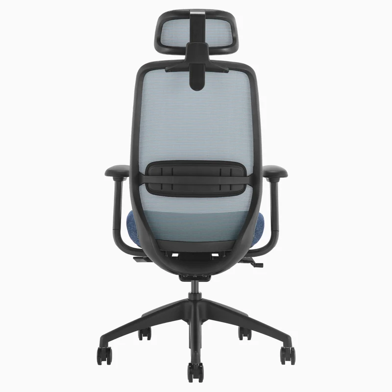 Desky CoilFlex Ergonomic Office Chair