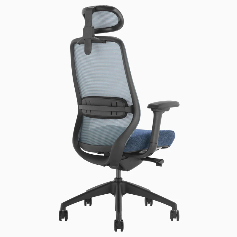 Desky CoilFlex Ergonomic Office Chair