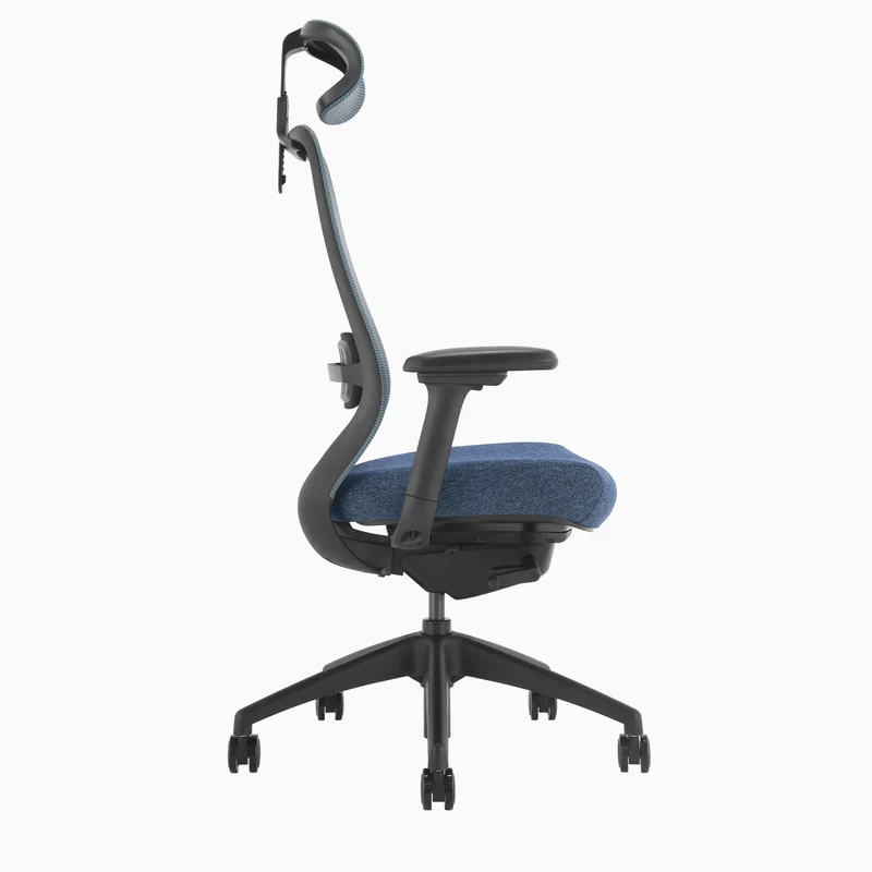 Desky CoilFlex Ergonomic Office Chair