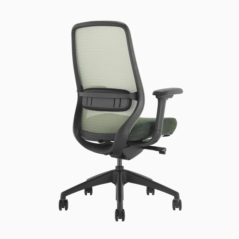 Desky CoilFlex Ergonomic Office Chair