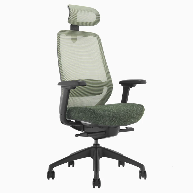 Desky CoilFlex Ergonomic Office Chair