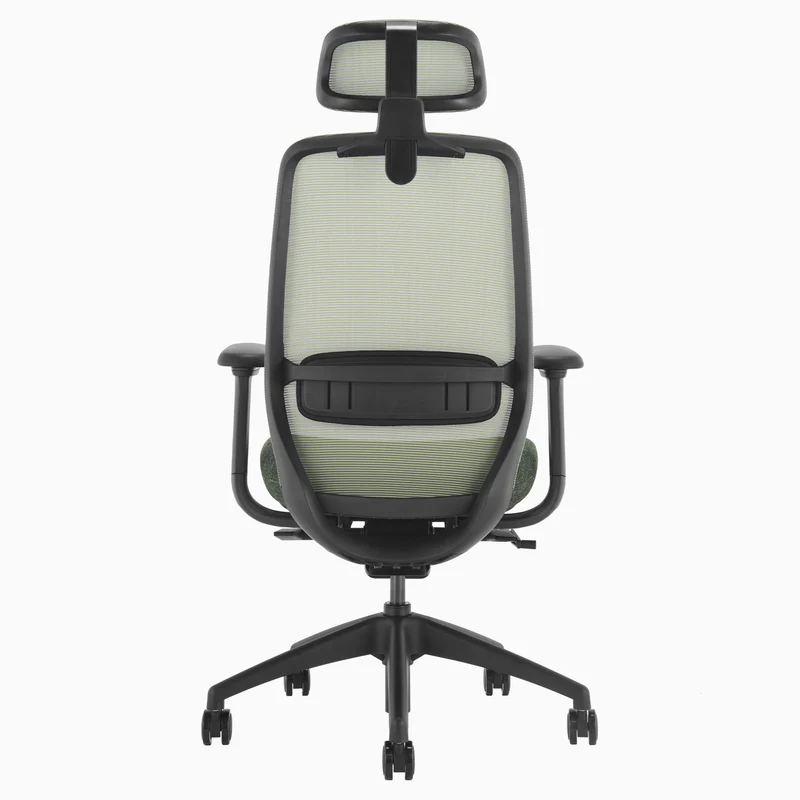 Desky CoilFlex Ergonomic Office Chair