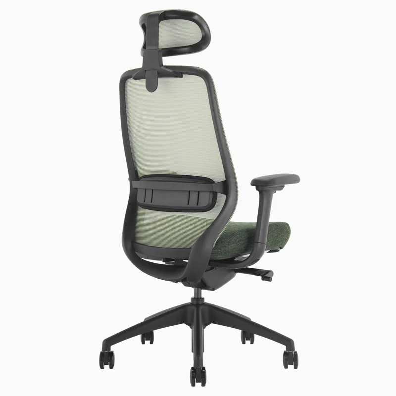Desky CoilFlex Ergonomic Office Chair