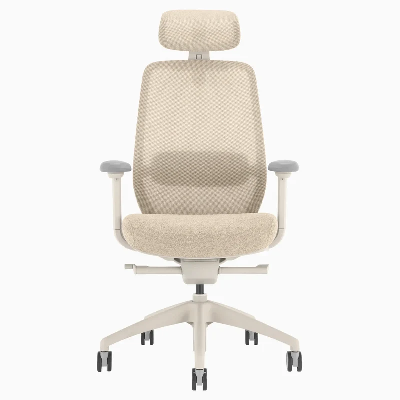 Desky CoilFlex Ergonomic Office Chair
