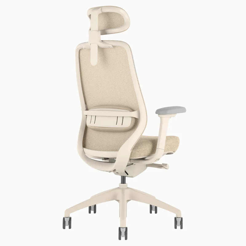 Desky CoilFlex Ergonomic Office Chair