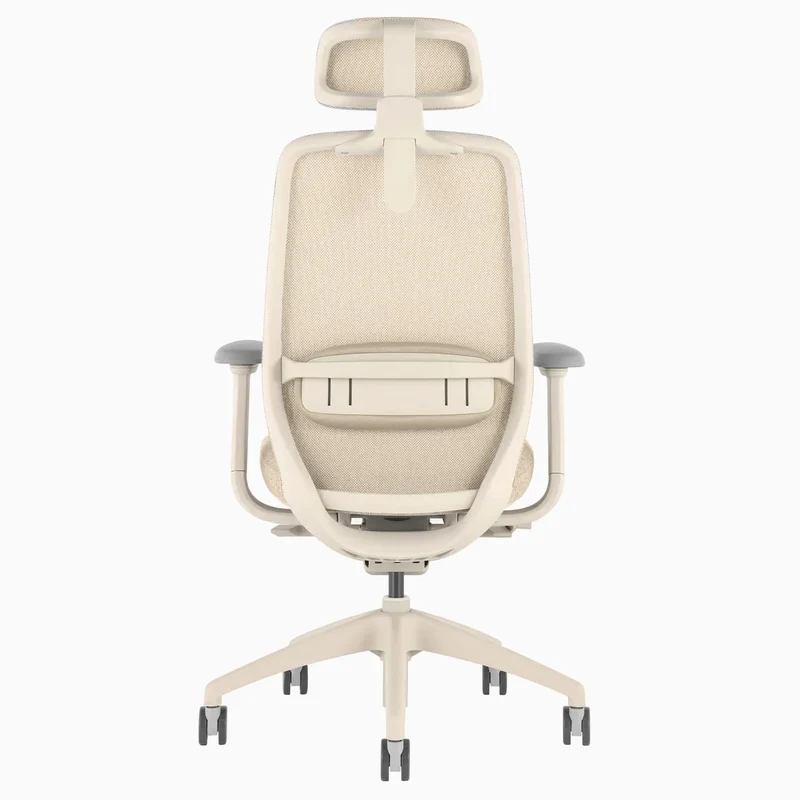 Desky CoilFlex Ergonomic Office Chair