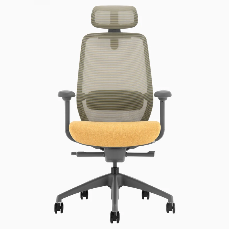 Desky CoilFlex Ergonomic Office Chair