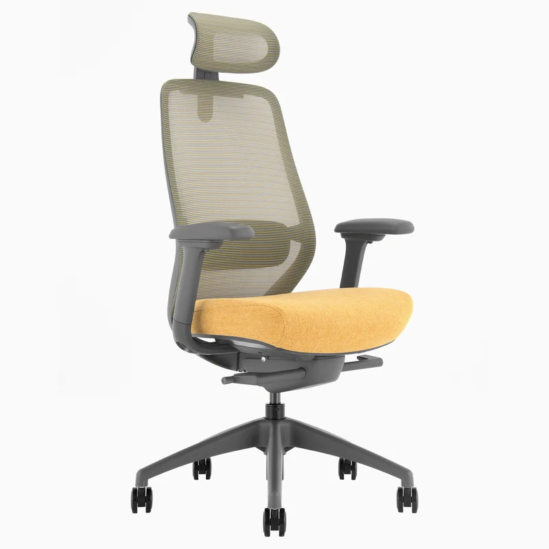 Desky CoilFlex Ergonomic Office Chair