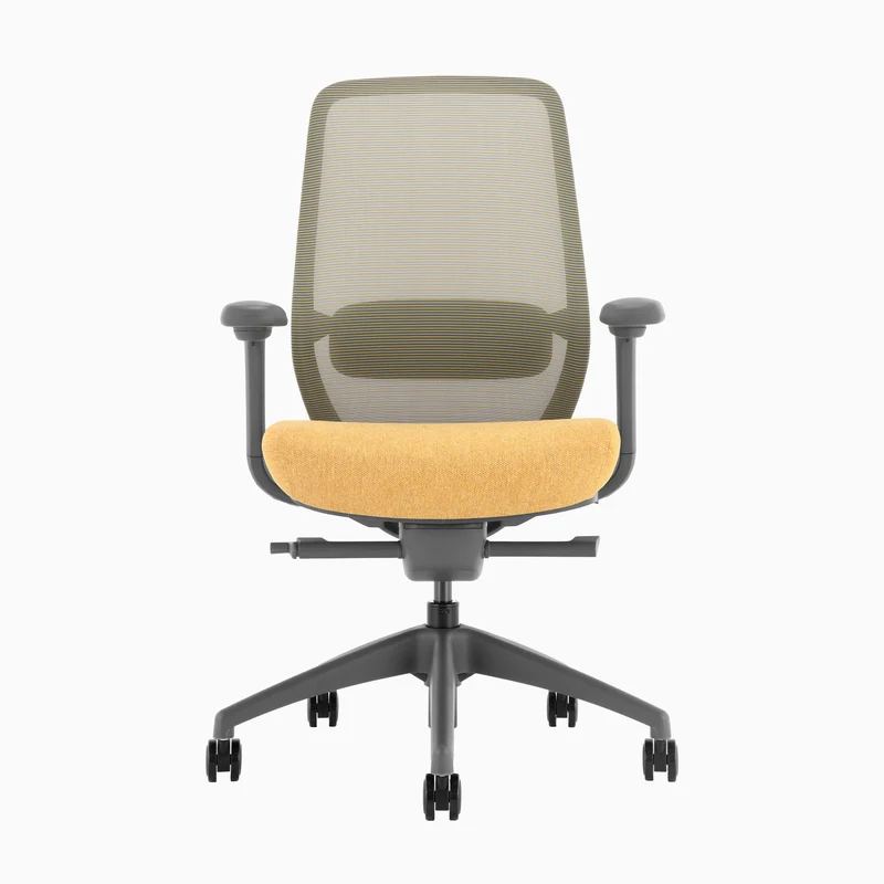 Desky CoilFlex Ergonomic Office Chair