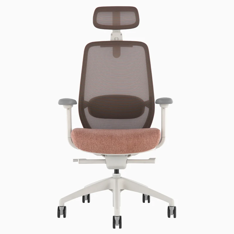 Desky CoilFlex Ergonomic Office Chair