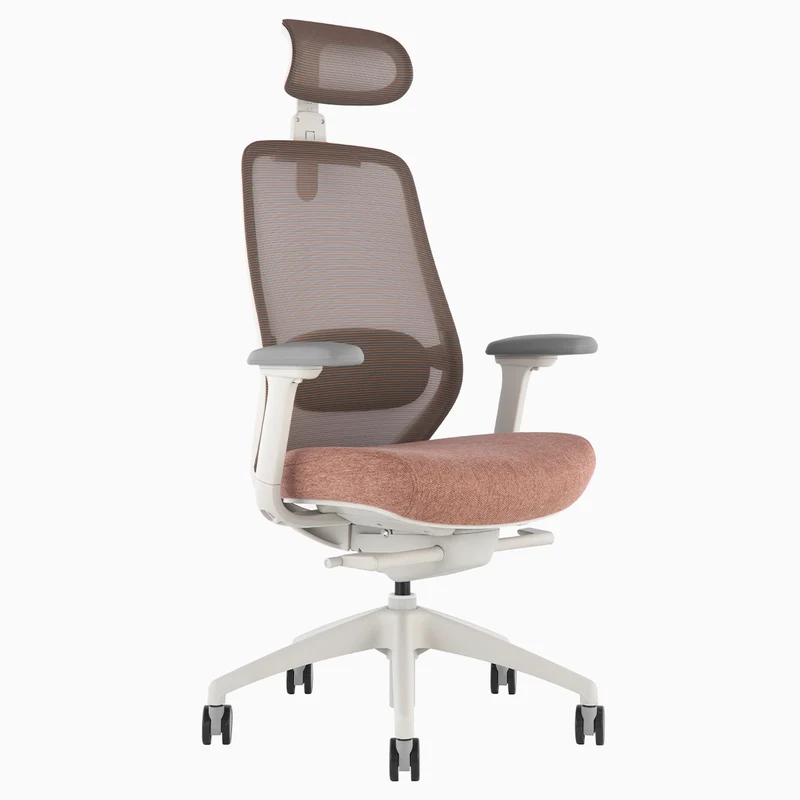 Desky CoilFlex Ergonomic Office Chair