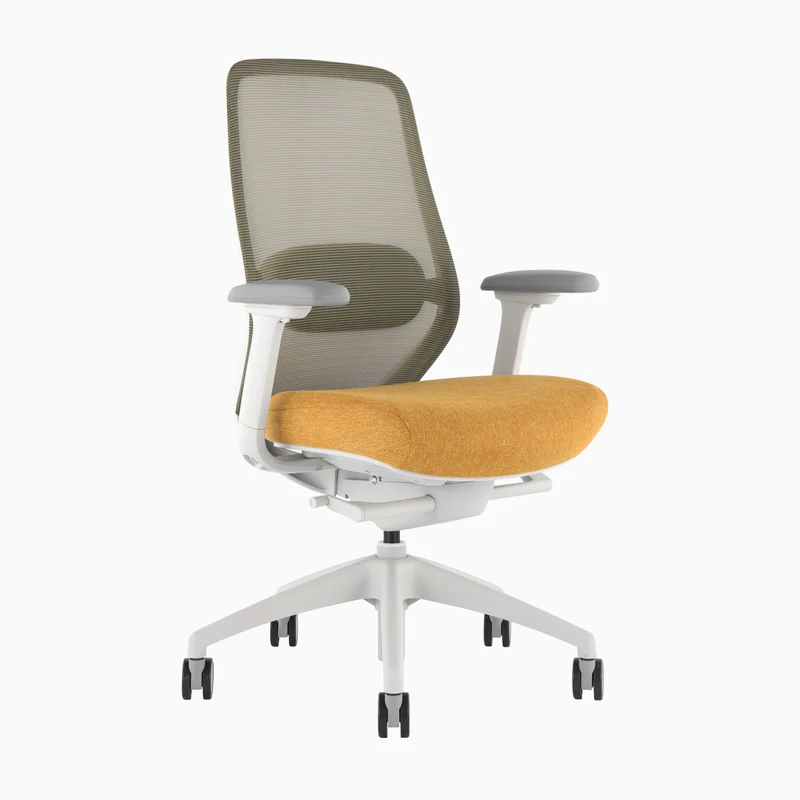 Desky CoilFlex Ergonomic Office Chair