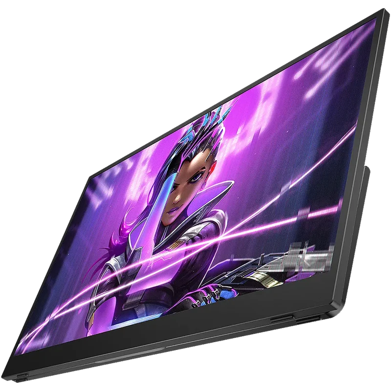 UColor J5 - Moniteur UHD avec support Vesa 17,3 pouces 60 Hz 4K