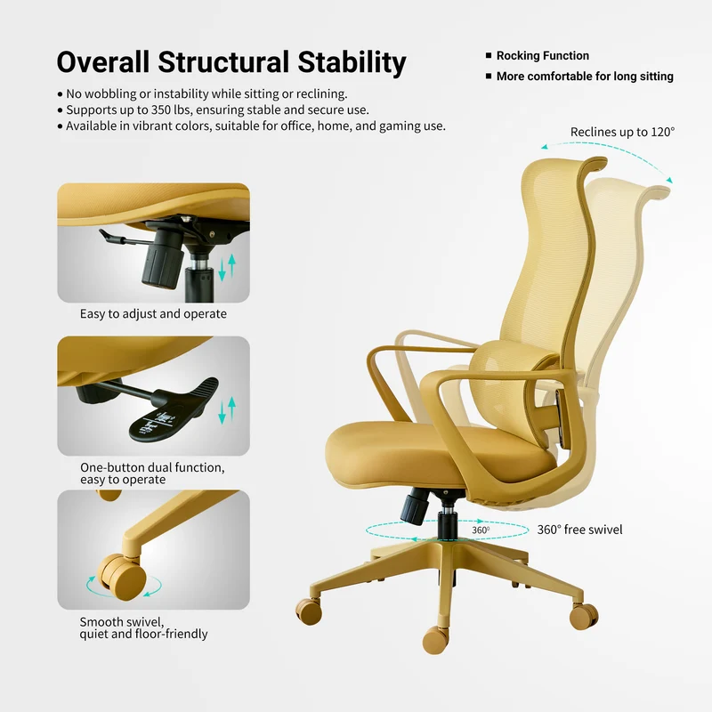 Z-EDGE Ergonomic Office Chair, Office Desk Chair with High Back Mesh and Adjustable Lumbar Support Rolling Work Swivel Task Chairs for Home Office
