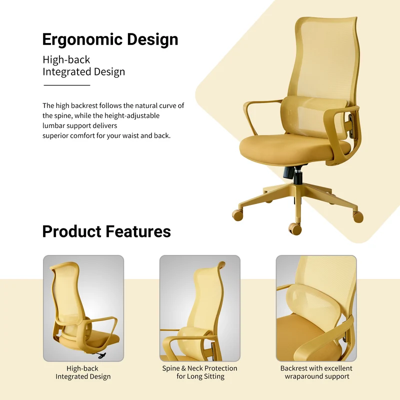 Z-EDGE Ergonomic Office Chair, Office Desk Chair with High Back Mesh and Adjustable Lumbar Support Rolling Work Swivel Task Chairs for Home Office