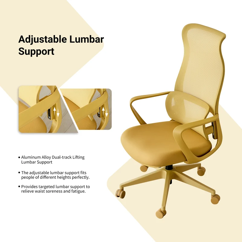 Z-EDGE Ergonomic Office Chair, Office Desk Chair with High Back Mesh and Adjustable Lumbar Support Rolling Work Swivel Task Chairs for Home Office