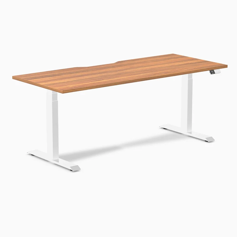 Desky Dual Scalloped Laminate Sit Stand Desk