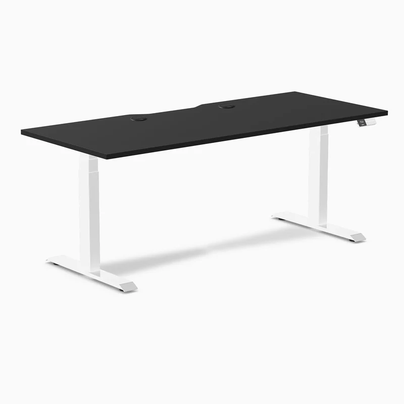 Desky Dual Scalloped Laminate Sit Stand Desk