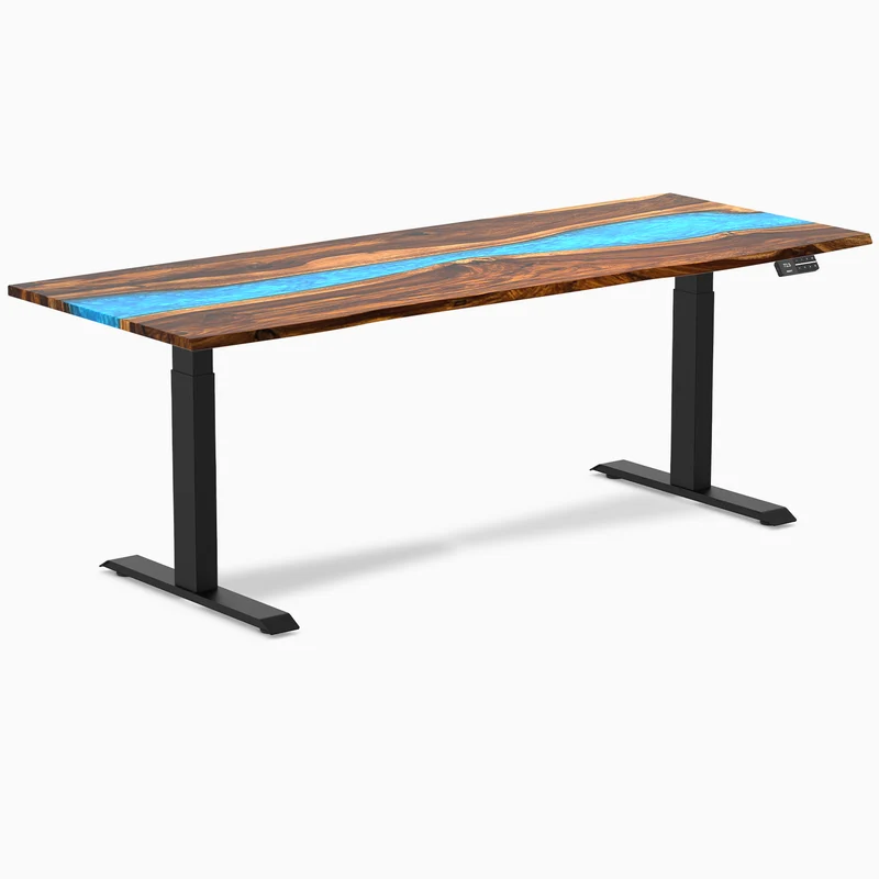 Desky Dual Resin Hardwood Sit Stand Desk