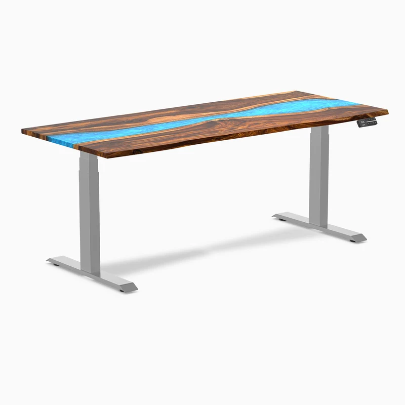 Desky Dual Resin Hardwood Sit Stand Desk