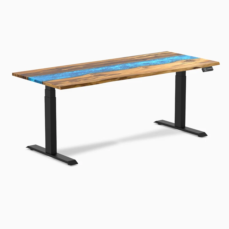 Desky Dual Resin Hardwood Sit Stand Desk