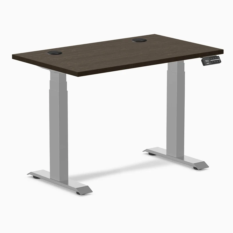 Desky Dual Mini Bamboo Sit Stand Desk