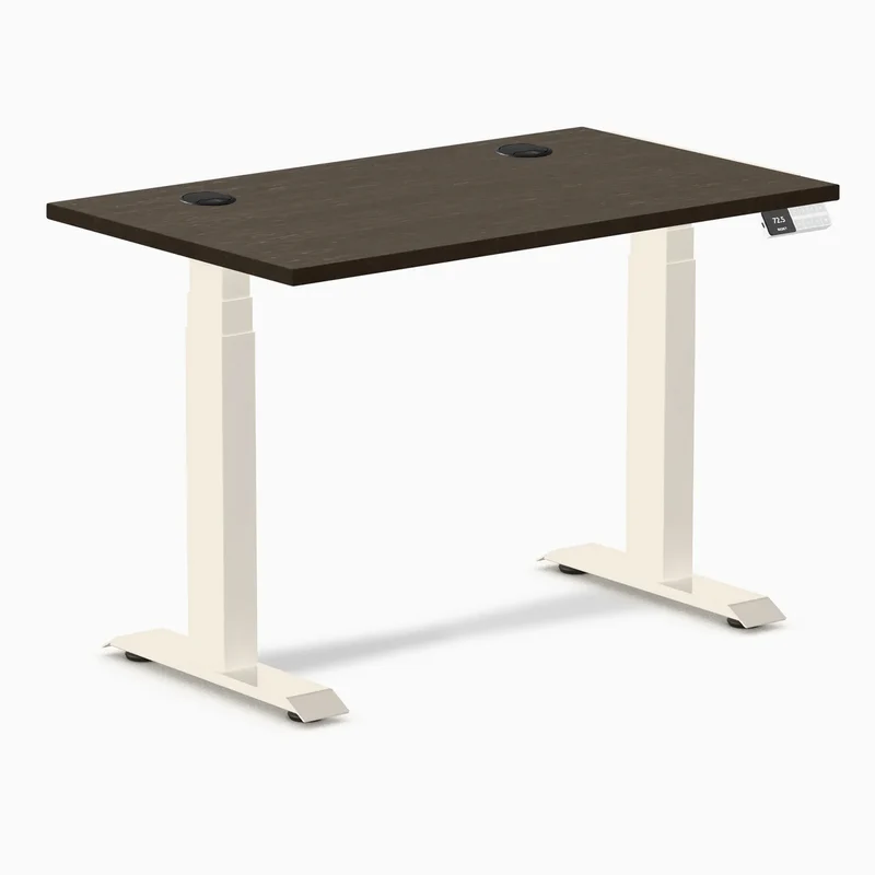 Desky Dual Mini Bamboo Sit Stand Desk