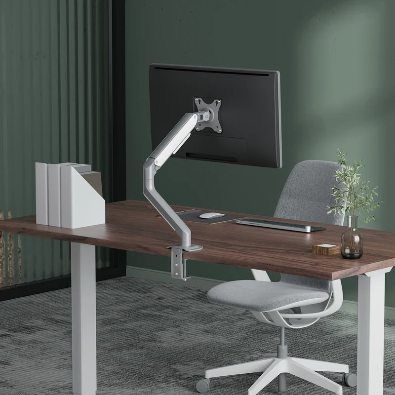 Desky Single Spring Eco Monitor Arm