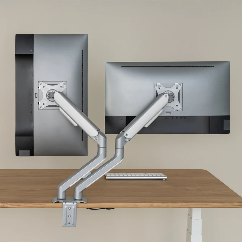 Desky Dual Spring Eco Monitor Arm