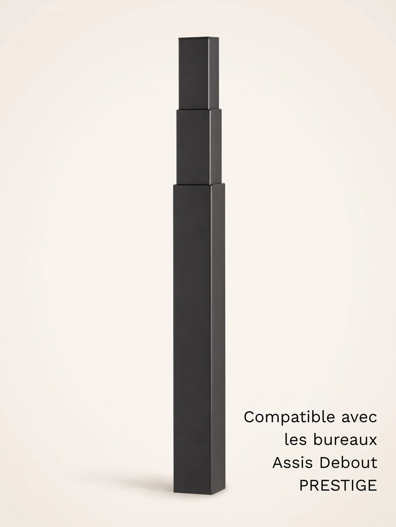 Colonne motorisée universelle pour bureau Assis Debout électrique