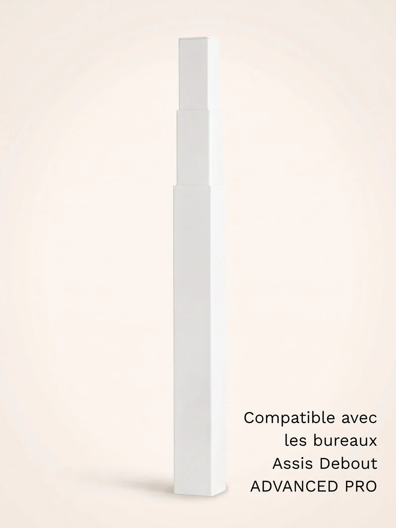 Colonne motorisée universelle pour bureau Assis Debout électrique
