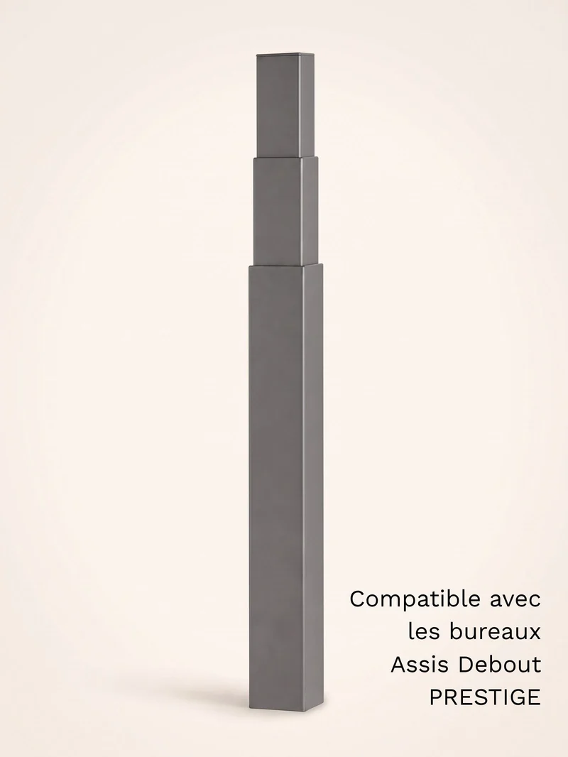Colonne motorisée universelle pour bureau Assis Debout électrique