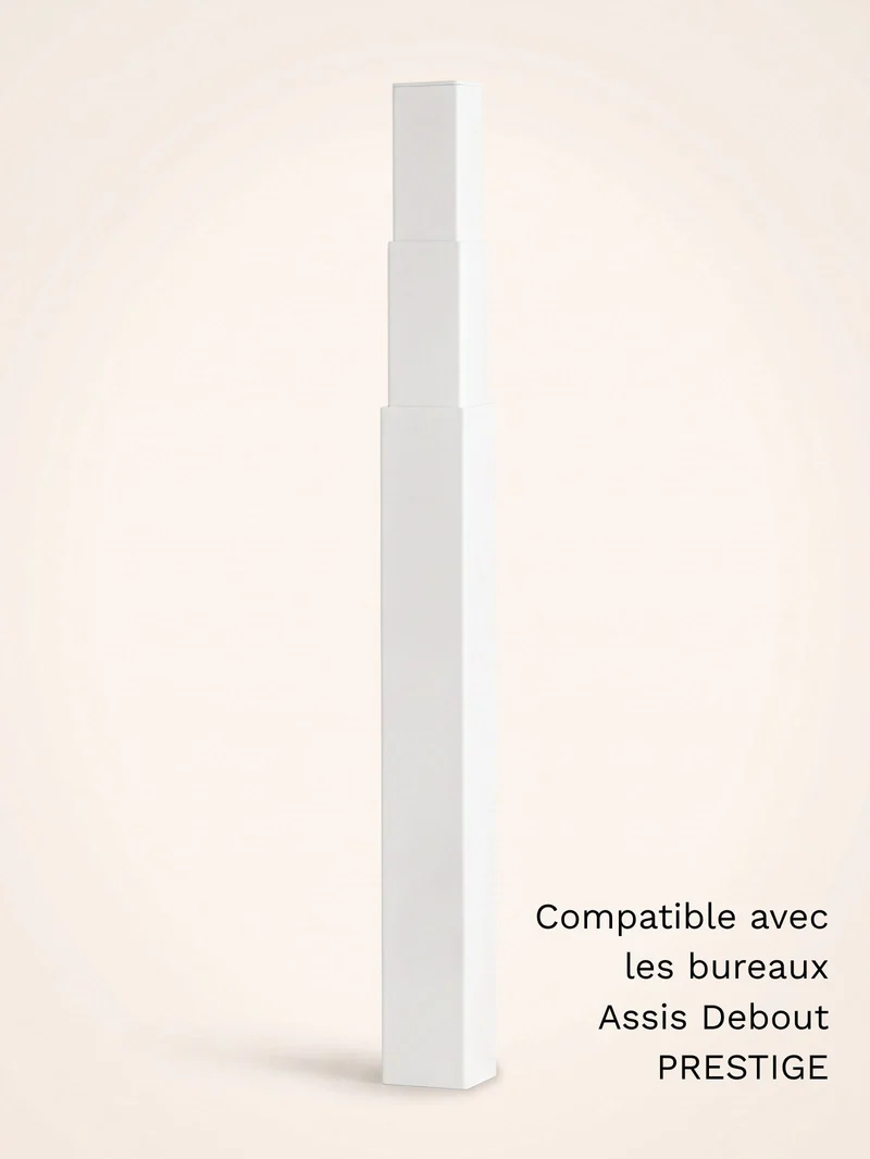 Colonne motorisée universelle pour bureau Assis Debout électrique