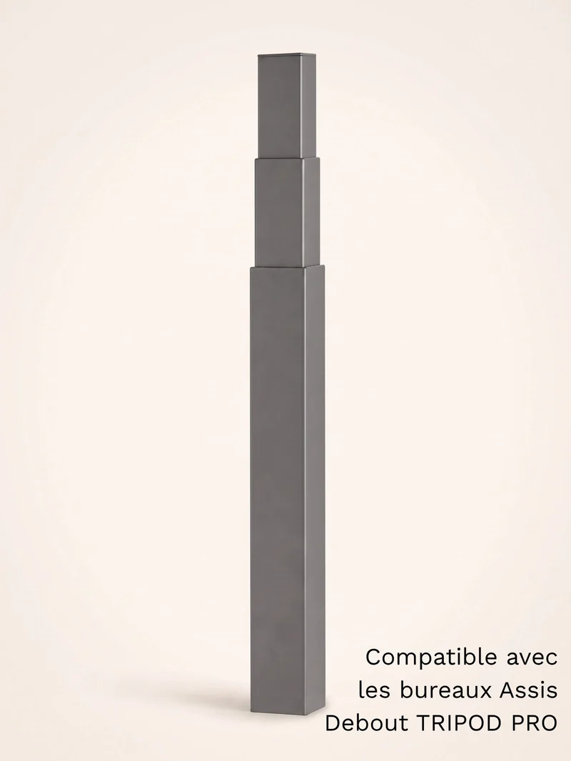 Colonne motorisée universelle pour bureau Assis Debout électrique