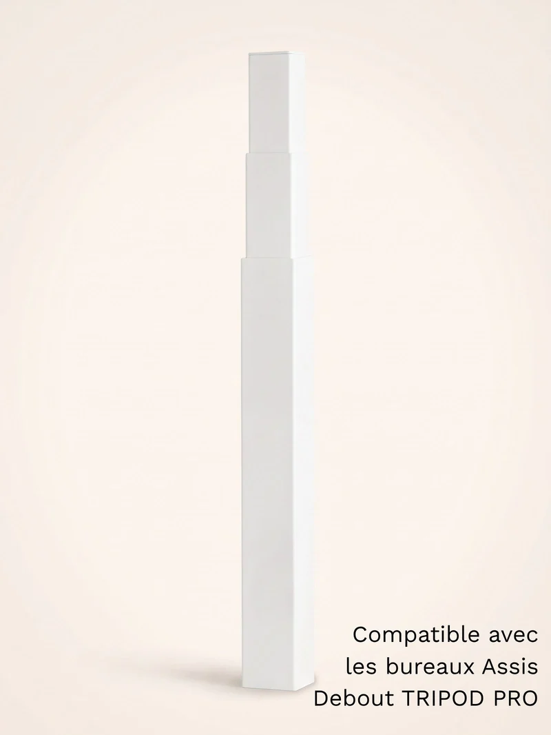 Colonne motorisée universelle pour bureau Assis Debout électrique